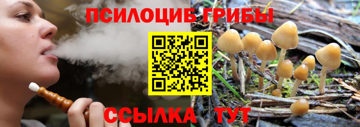 Добрянка  купить   Галлюциногенные грибы Psilocybe  Вход с VPN  Псилоцибиновые грибы GOLDEN TEACHER 
